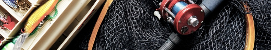 Popular Fishing Spots Near Chicago, Illinois